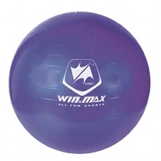 Exercise Ball - Purple